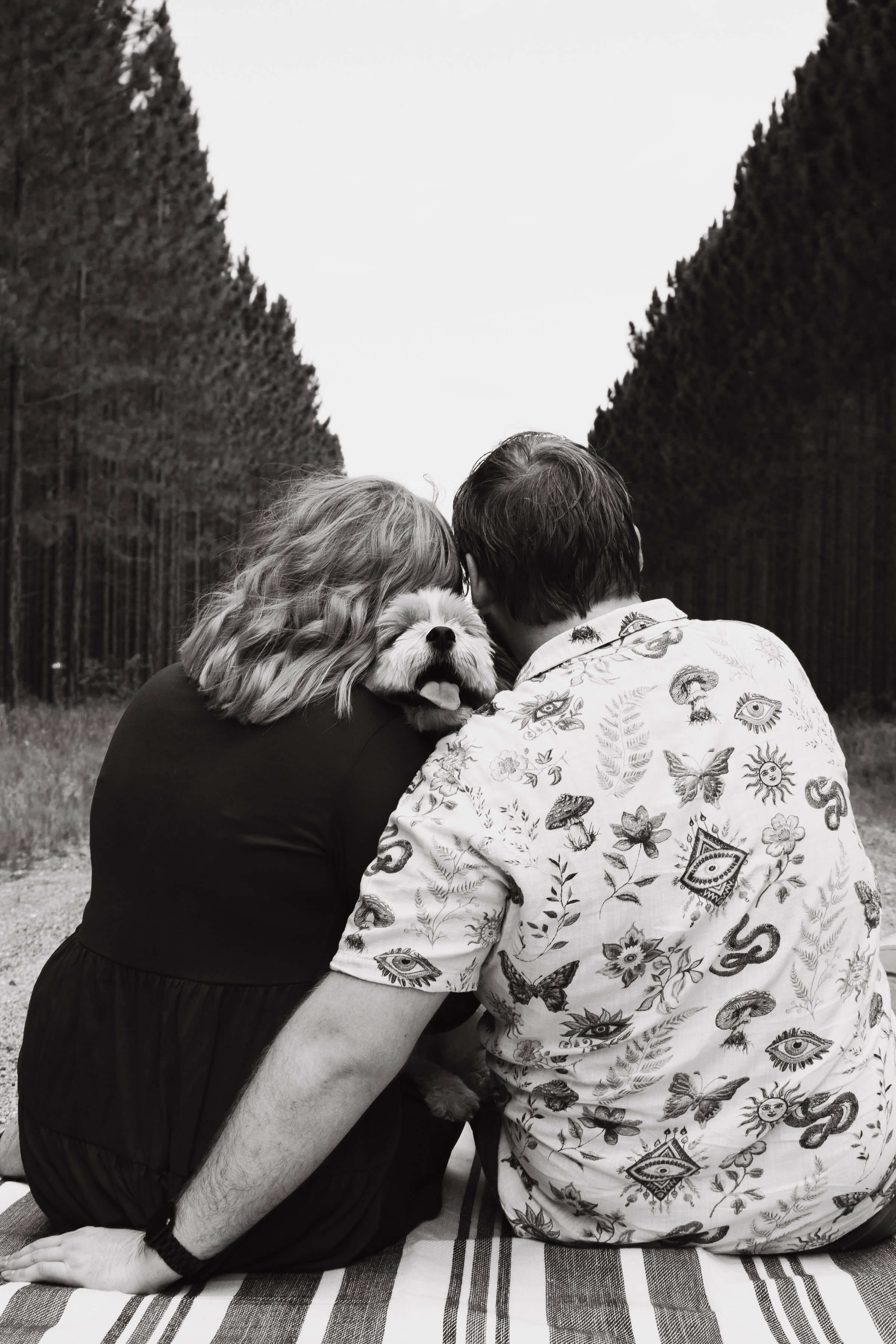 a loving couple sitting on a picnic blanket the a dogs head poking through on top their shoulders